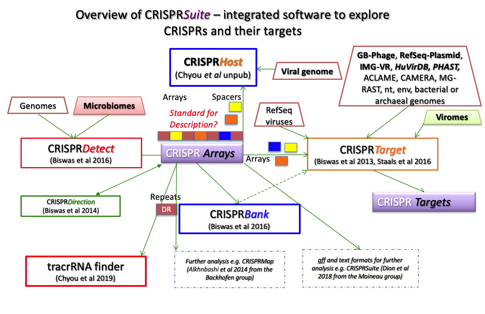 CRISPRSuite
